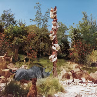 Jungle Cruise wallpaper