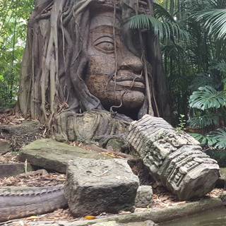 Jungle Cruise wallpaper