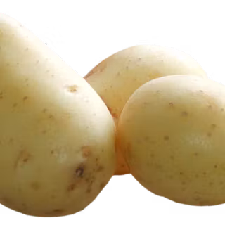 Potato bean wallpaper