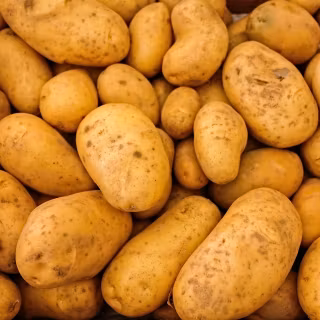 Potato bean wallpaper