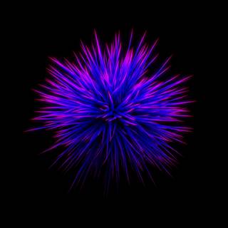 Blue flowers Ultra HD wallpaper