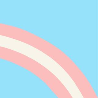 Transgender pride flag wallpaper
