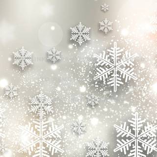 Winter shine wallpaper