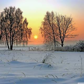 Winter shine wallpaper