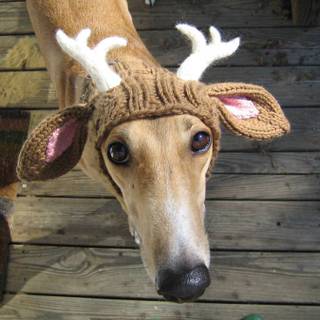 Christmas for laptop wallpaper