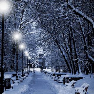 Winter good night wallpaper