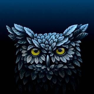 New best phone wallpaper