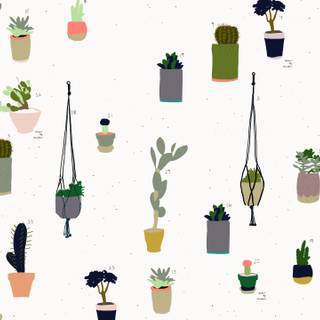 Christmas with cactus wallpaper