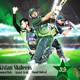 Pakistan cricket wallpaper