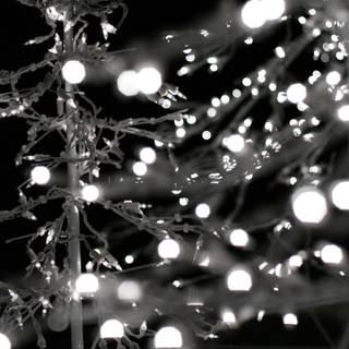 White Christmas computer wallpaper