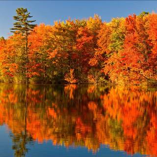 Reflections of autumn wallpaper
