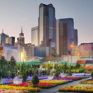 Dallas Texas wallpaper