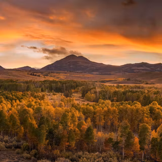 4k nature autumn wallpaper