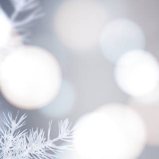 White Christmas aesthetic wallpaper