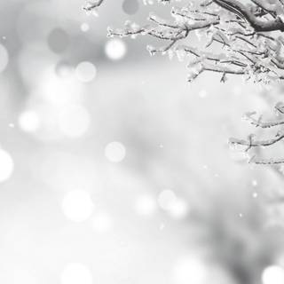 White Christmas aesthetic wallpaper