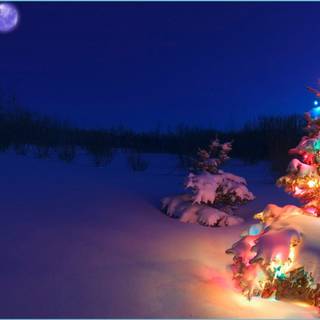 Christmas VSCO PC wallpaper