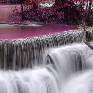 HD nature iPhone 11 Pro Max wallpaper