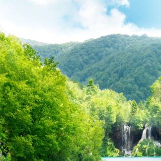 4k HDR mobile wallpaper