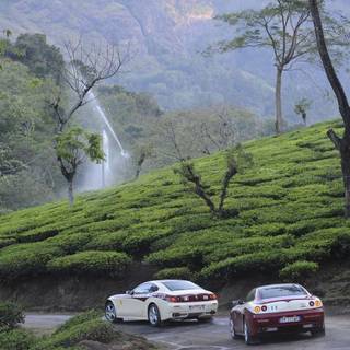 India nature wallpaper