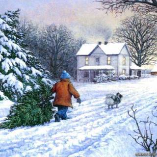 Winter begining wallpaper