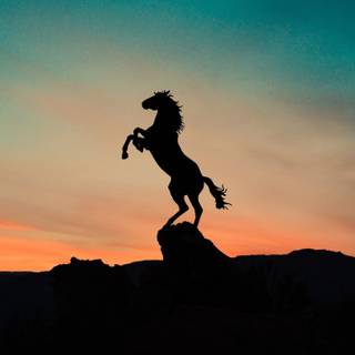 Aesthetic sunset horse wallpaper