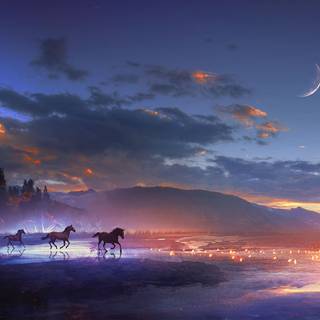 Aesthetic sunset horse wallpaper