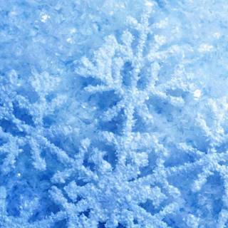 Snow flake Christmas wallpaper