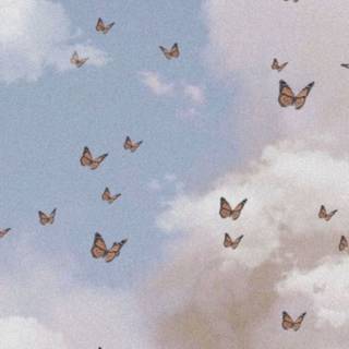 Butterflies Tumblr wallpaper