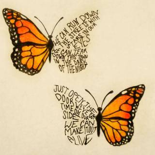 Butterflies Tumblr wallpaper