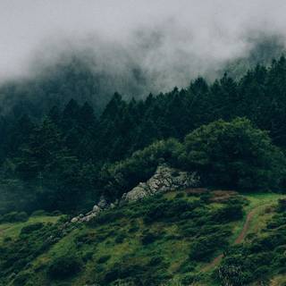 Tumblr landscape wallpaper