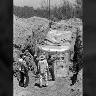 Chinchilla kids wallpaper