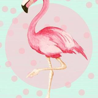 Pink flamingo wallpaper