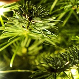 Christmas 3840x1080 wallpaper