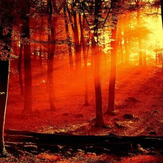 Creepy autumn wallpaper