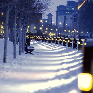 Winter street lights wallpaper