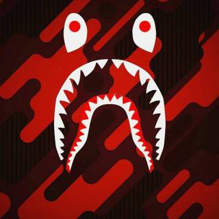 Gucci and Supreme wallpaper