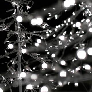 Black and white Christmas wallpaper