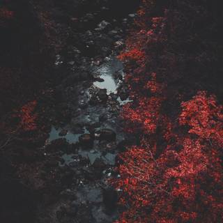 Fantasy aesthetic wallpaper