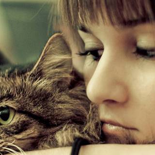 HD girl and cat wallpaper