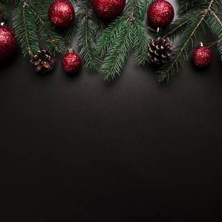 Christmas branch wallpaper