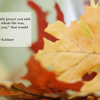 Love Thanksgiving wallpaper