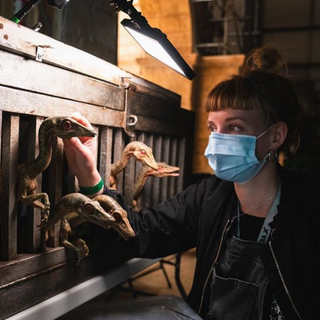 Jurassic World Dominion wallpaper