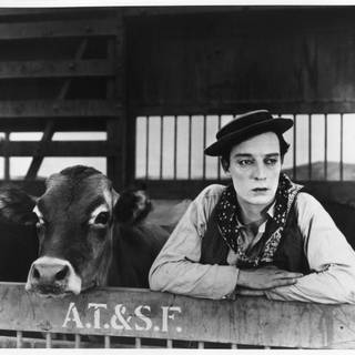 Buster Keaton wallpaper