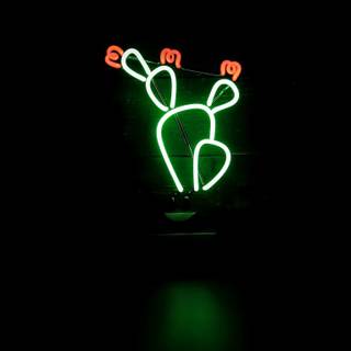 Dark green grunge aesthetic wallpaper