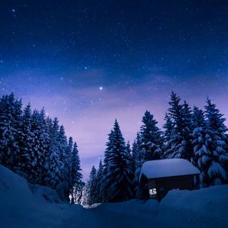 Winter snowy night wallpaper