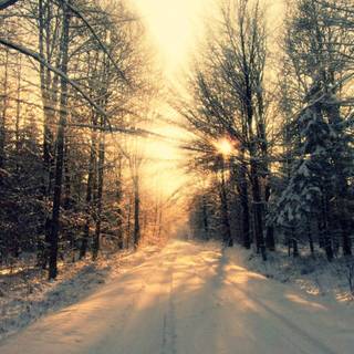 Winter Tumblr desktop wallpaper