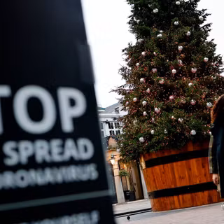 Charli D'Amelio Christmas wallpaper