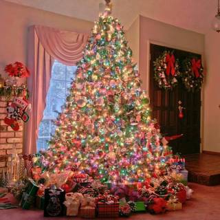 Charli D'Amelio Christmas wallpaper