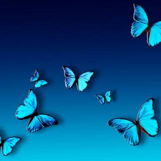 The Blue Butterfly wallpaper