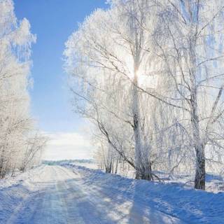 Winter cute roads wallpaper